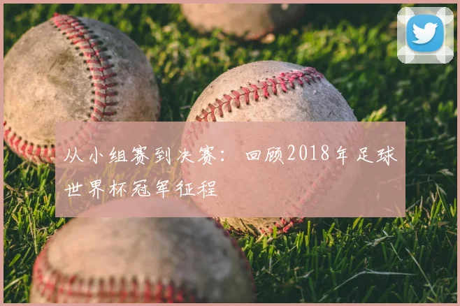 从小组赛到决赛：回顾2018年足球世界杯冠军征程