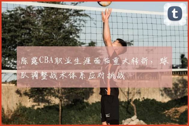 陈露CBA职业生涯面临重大转折，球队调整战术体系应对挑战