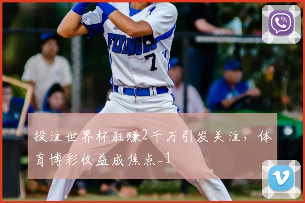 投注世界杯狂赚2千万引发关注，体育博彩收益成焦点_1