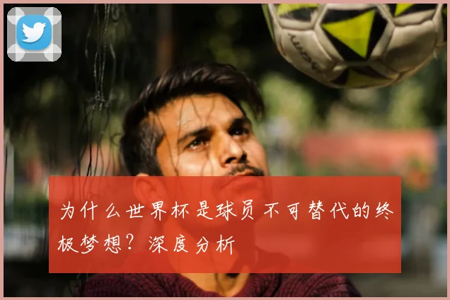 为什么世界杯是球员不可替代的终极梦想？深度分析