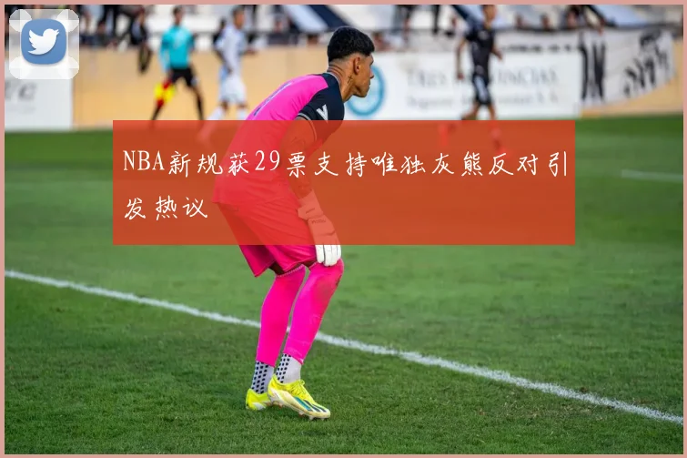 NBA新规获29票支持唯独灰熊反对引发热议