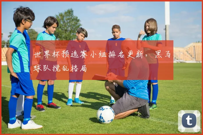 世界杯预选赛小组排名更新，黑马球队搅乱格局