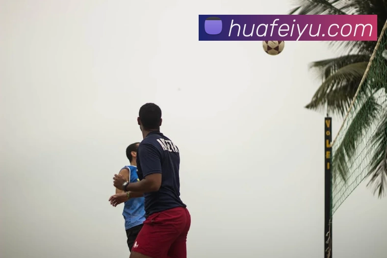 爱游戏官网平台生态图