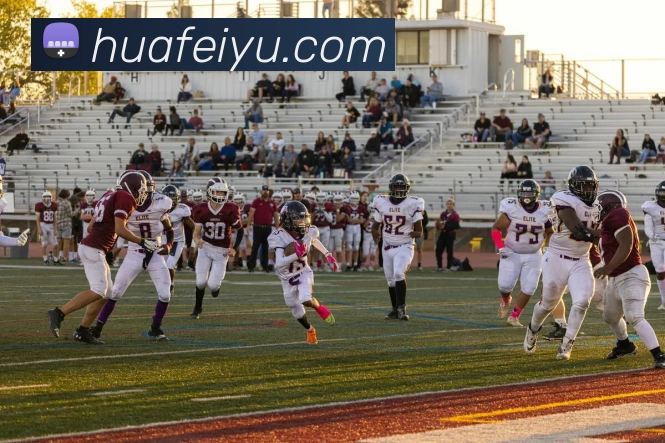 数据防护可视化